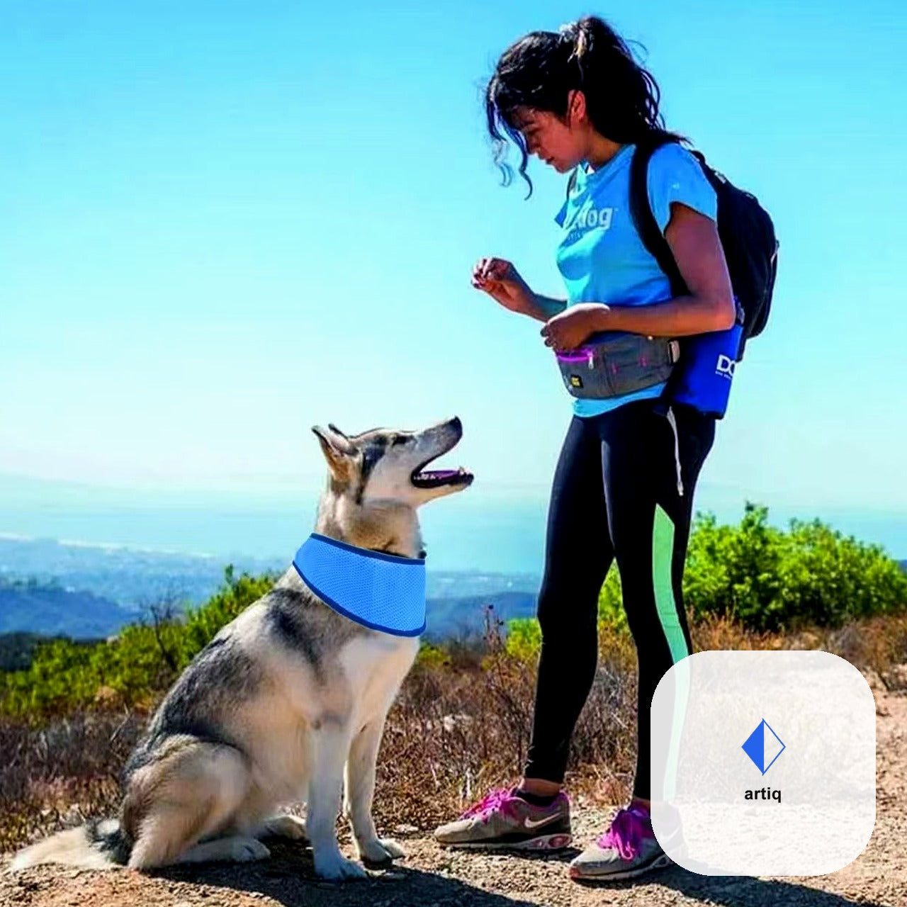 Artiq Cooling Sun Shield Pet Scarf