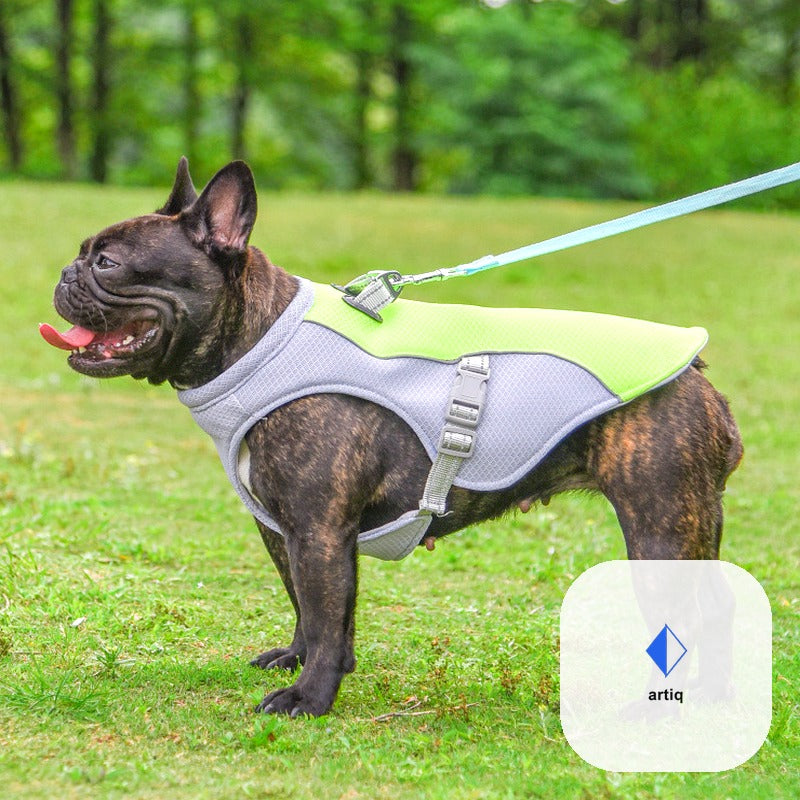Artiq™ CoolPaw – Premium Cooling Vest for Dogs
